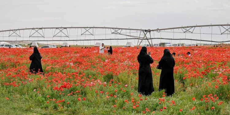 محمية الديدحان في حائل تجذب الزوار بعروض طبيعية مميزة