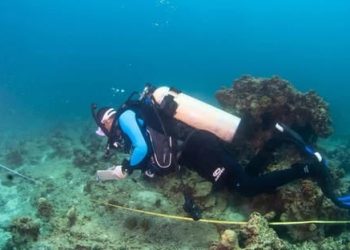 لحماية الثروة البيئية.. مسح شامل لـ64 موقعًا على سواحل البحر الأحمر