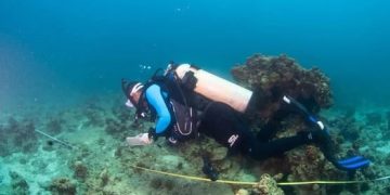 لحماية الثروة البيئية.. مسح شامل لـ64 موقعًا على سواحل البحر الأحمر