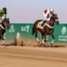 انطلاق منافسات مهرجان الأمير عبدالعزيز بن سعد لسباقات الخيل في حائل