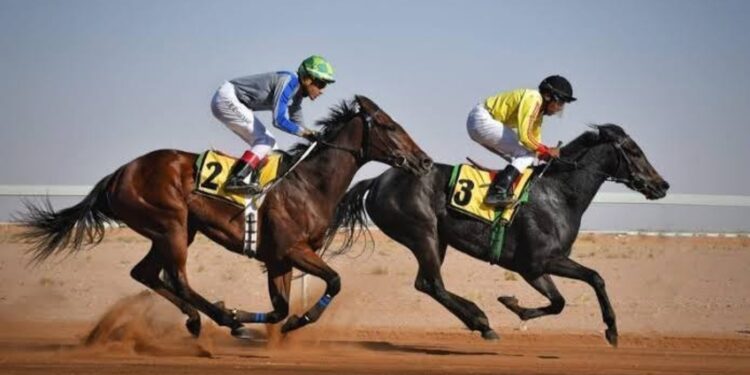 انطلاق منافسات مهرجان الأمير عبدالعزيز بن سعد لسباقات الخيل في حائل