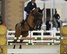 بطولة بمستوى عالمي وجوائز بالملايين.. جولة الرياض تُبهر الاتحاد الدولي للفروسية