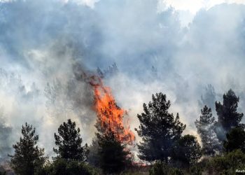 حرائق إسرائيل