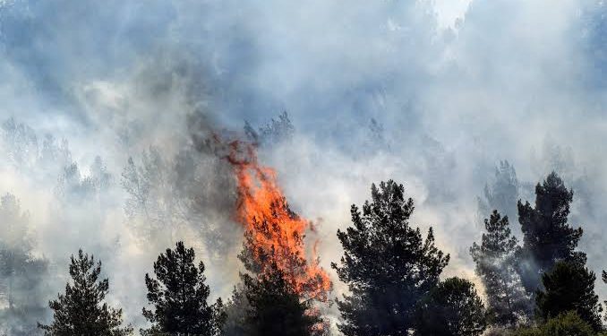 حرائق إسرائيل