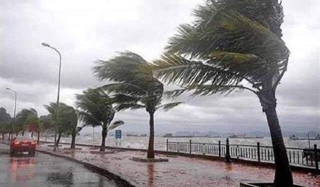 انخفاض في الحرارة وعواصف ترابية.. ماذا ينتظرك في طقس السبت؟