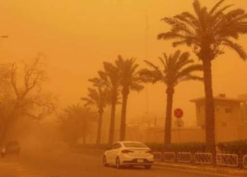 عاصفة تضرب مصر والحكومة تعلق الدراسة.. ما القصة؟