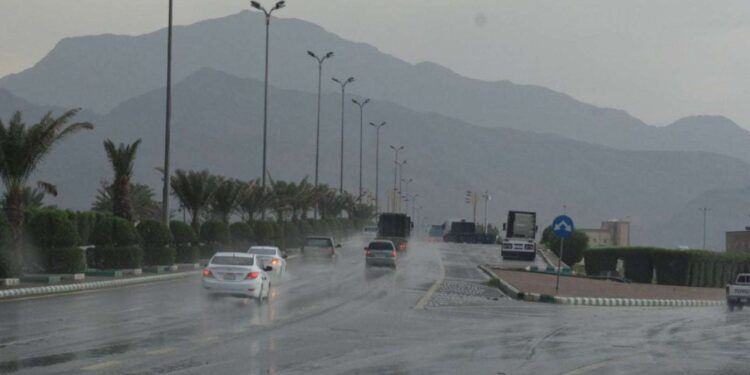 تحذير من المركز الوطني للأرصاد: أمطار متوسطة ورياح شديدة على المدينة المنورة