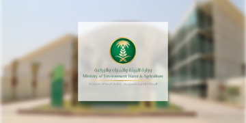 فعاليات توعوية وابتكارات.. أسبوع بيئي توعوي شامل في منطقة مكة