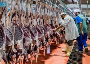 قبل تدفق الملايين لموسم الحج.. تحرك رسمي لضبط تجاوزات المسالخ بمكة