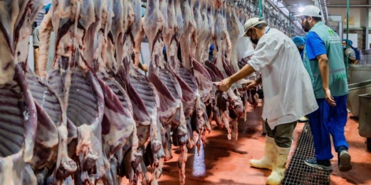 قبل تدفق الملايين لموسم الحج.. تحرك رسمي لضبط تجاوزات المسالخ بمكة