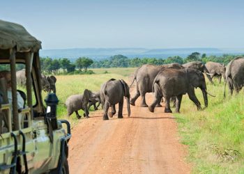 في يومها العالمي.. إفريقيا كما لم تعرفها من قبل وجهة سياحية آمنة وساحرة