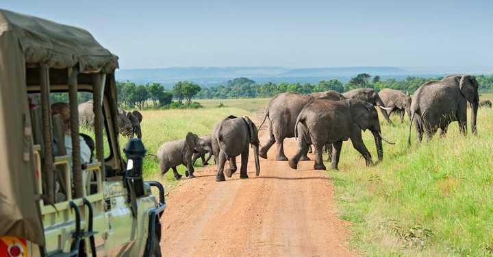 في يومها العالمي.. إفريقيا كما لم تعرفها من قبل وجهة سياحية آمنة وساحرة