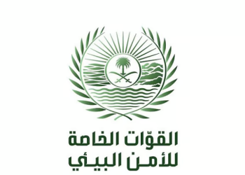 غرامة 32 ألف ريال للمتر.. ضبط مواطن بحوزته حطب محلي بالمدينة المنورة