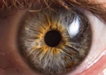 دواء يعيد البصر