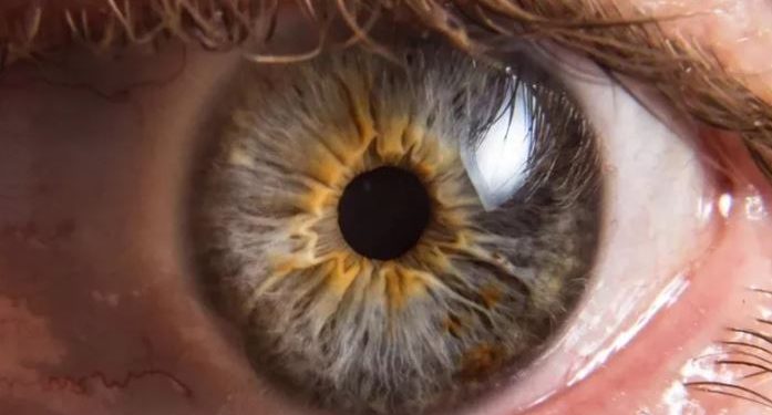 دواء يعيد البصر