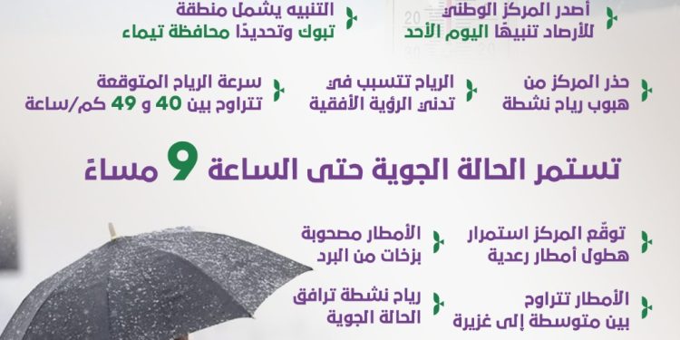 أمطار غزيرة وبرد وسيول.. تحذيرات طارئة من الأرصاد في عدة مناطق