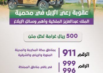 عقوبة رعي الإبل في محمية الملك عبدالعزيز الملكية وأهم وسائل الإبلاغ