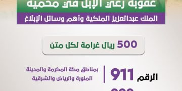 عقوبة رعي الإبل في محمية الملك عبدالعزيز الملكية وأهم وسائل الإبلاغ