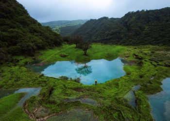 انطلاق ورش عمل موسم خريف ظفار العُماني 2025 في السعودية