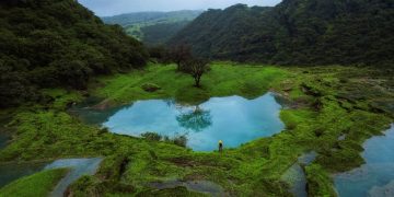 انطلاق ورش عمل موسم خريف ظفار العُماني 2025 في السعودية