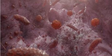 فطر يعلاج الامراض الكبيدية