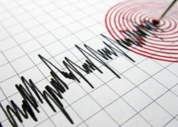 عاجل.. زلزال عنيف يضرب القاهرة ورعب يجتاح المواطنين