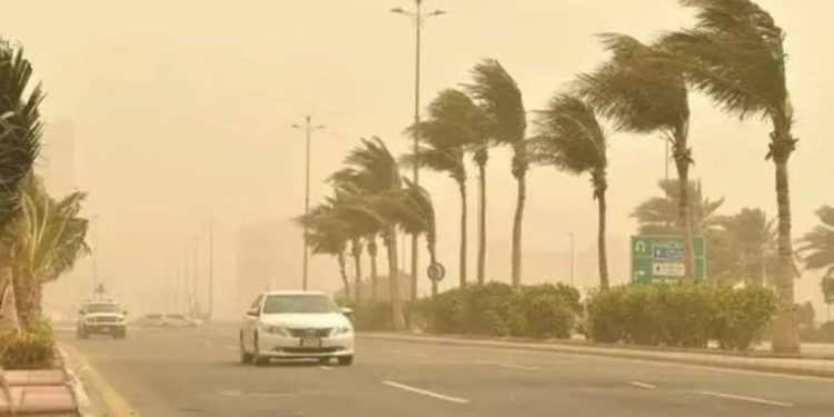 أمطار غزيرة وجريان للسيول في جازان وعسير.. تحذيرات من أتربة مثارة في عدة مناطق بالسعودية