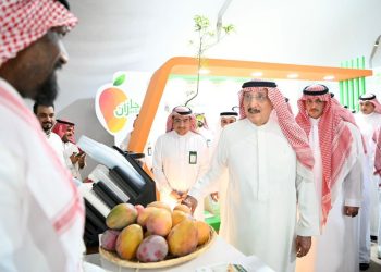برعاية أمير جازان.. أجواء استثنائية في مهرجان المانجو وتفاعل جماهيري واسع