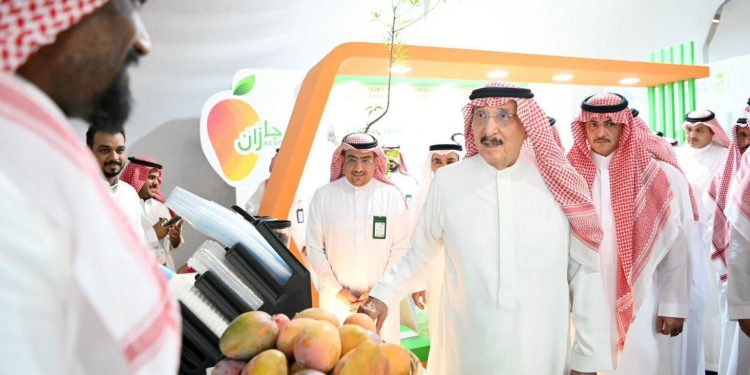 برعاية أمير جازان.. أجواء استثنائية في مهرجان المانجو وتفاعل جماهيري واسع
