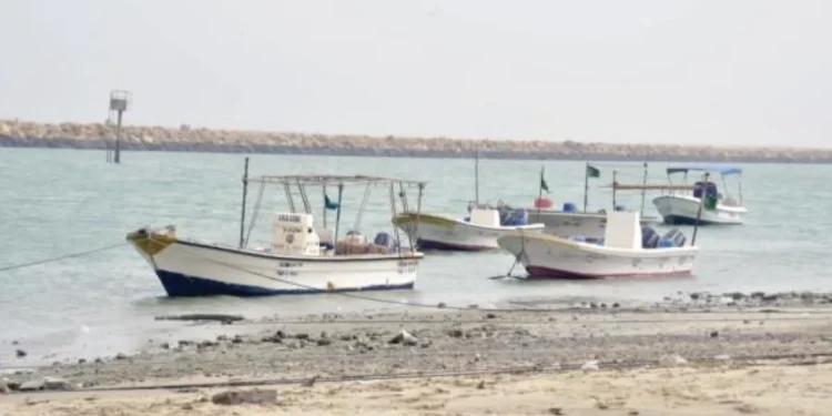 قوارب مهملة