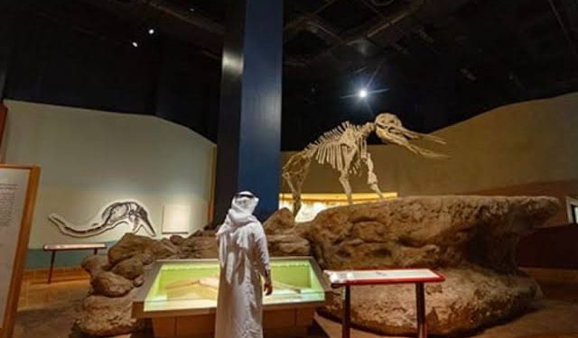 في اليوم العالمي للمتاحف.. أهم 10 متاحف سعودية تستحق الزيارة