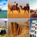 “جدة والرياض والدمام وأبها” أكثر وجهات السفر بحثًا في السعودية مع اقتراب عيد الأضحى