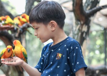 فرصة لأبنائنا الطلاب.. طرق سهلة وبسيطة لحجز تذاكر حديقة الحيوان بالرياض