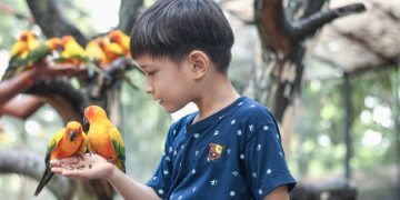 فرصة لأبنائنا الطلاب.. طرق سهلة وبسيطة لحجز تذاكر حديقة الحيوان بالرياض