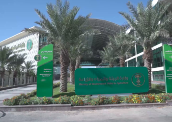 فرص استثمارية بمساحات تجاوزت 143 مليون متر مربع في منطقة حائل