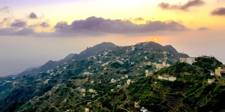 اللجنة العقارية في غرفة جازان تسعى لتعزيز الاستثمار وتطوير البنية التحتية