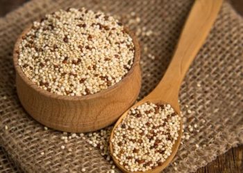 بعد التمرين.. أطعمة نباتية تُعيد بناء عضلاتك وتمنحك طاقة مستدامة