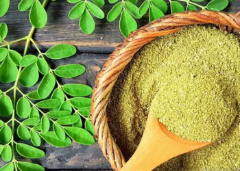 عشبة المورينجا