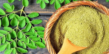 عشبة المورينجا