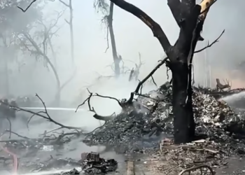 طائرة الهند المنكوبة