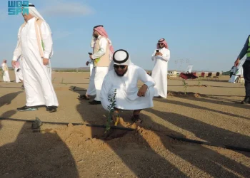 إنجاز بيئي - زراعة 31 مليون شجرة