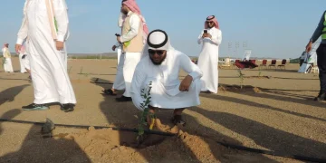 إنجاز بيئي - زراعة 31 مليون شجرة