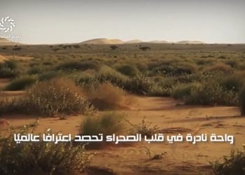 محمية سعودية تدخل قائمة النخبة البيئية عالميًا.. ما السر؟