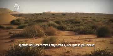 محمية سعودية تدخل قائمة النخبة البيئية عالميًا.. ما السر؟