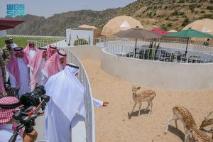تفاعل السعودية - أمير الباحة يتفقد استعدادات الصيف ويشيد بتجربة نُزل الكبسولات في غابة رغدان