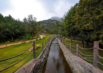 صيف الجنوب في عسير والباحة يتلوّن بالفنون والثقافة والفعاليات المتنوعة