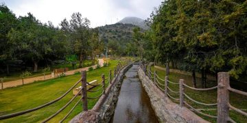 صيف الجنوب في عسير والباحة يتلوّن بالفنون والثقافة والفعاليات المتنوعة