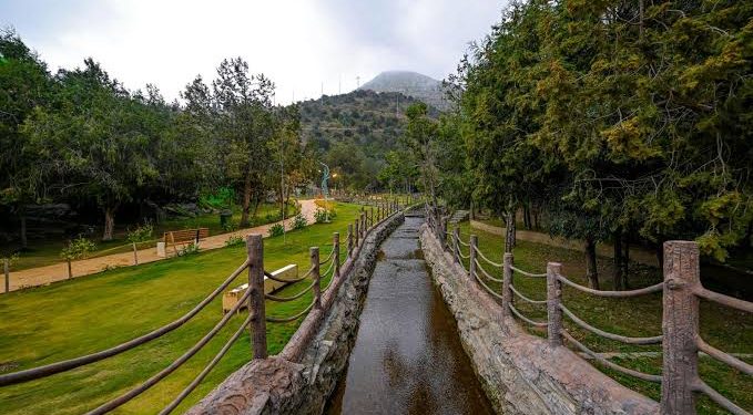 صيف الجنوب في عسير والباحة يتلوّن بالفنون والثقافة والفعاليات المتنوعة