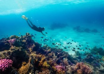 6 محطات فاخرة خارج المألوف.. لمن يبحث عن الدهشة والفخامة