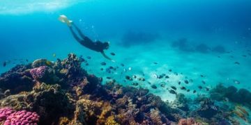 6 محطات فاخرة خارج المألوف.. لمن يبحث عن الدهشة والفخامة